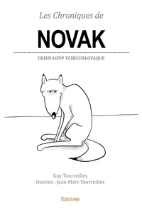Les Chroniques de Novak