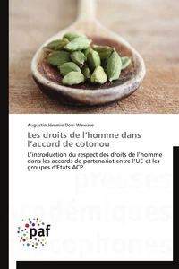 Les droits de l homme dans l accord de cotonou