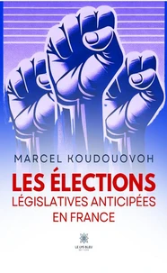 Les élections législatives anticipées en France
