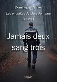 Les enquêtes de Marc Fontaine