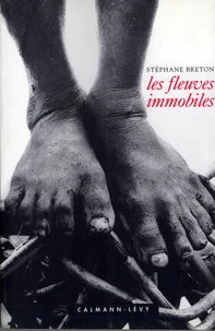 Les fleuves immobiles