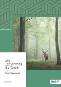 Daniel Allemand - Les labyrinthes du destin.