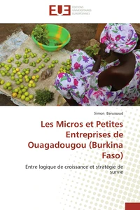 Les Micros et Petites Entreprises de Ouagadougou (Burkina Faso)
