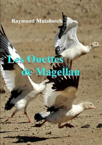 Les Ouettes de Magellan