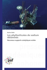 Les phyllosilicates de sodium délaminés