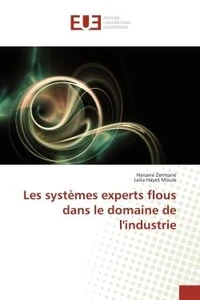 Les systemes experts flous dans le domaine de l'industrie