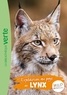 Hachette Livre - Wild Immersion 10 - Expédition au pays des lynx.
