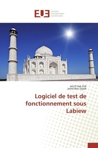 Jamel Ben Zayed - Logiciel de test de fonctionnement sous Labiew.