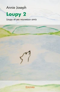 Loupy 2