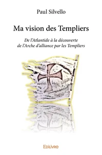 Ma vision des Templiers