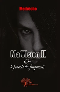 Ma vision - Tome 2