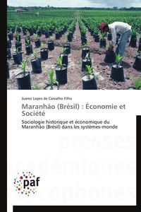 Maranhão (brésil) : économie et société