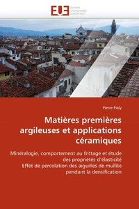 Matières premières argileuses et applications céramiques