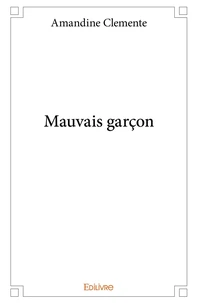 Mauvais garçon