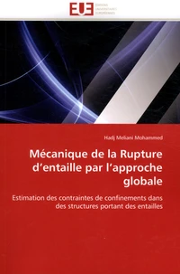 Mécanique de la rupture d'entaille par l'approche globale