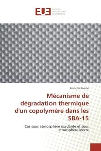 Mecanisme de degradation thermique d'un copolymere dans les SBA-15