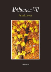 Méditation VII