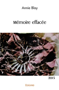 Mémoire effacée