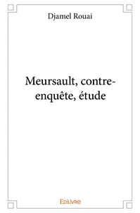 Meursault, contre-enquête, étude