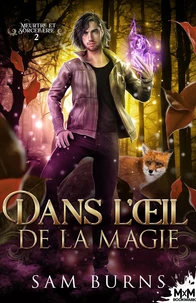 Dans l'oeil de la magie