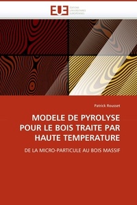 Patrick Rousset - Modèle de pyrolyse pour le bois traité par haute température - De la micro-particule au bois massif.