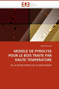 Modèle de pyrolyse pour le bois traité par haute température