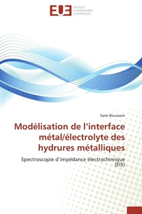 Modélisation de l'interface métal/électrolyte des hydrures métalliques