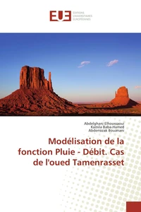 Modélisation de la fonction pluie-débit