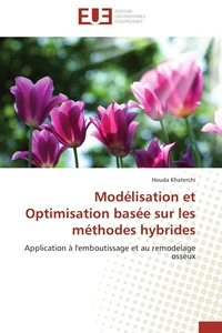 Modélisation et optimisation basée sur les méthodes hybrides