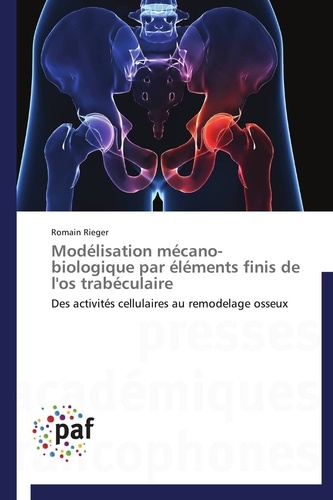  Rieger-r - Modélisation mécano-biologique par éléments finis de l'os trabéculaire.