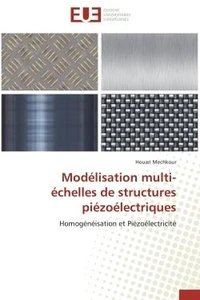 Modélisation multi-échelles de structures piézoélectriques