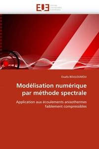 Modélisation numérique par méthode spectrale