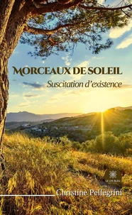 Morceaux de soleil