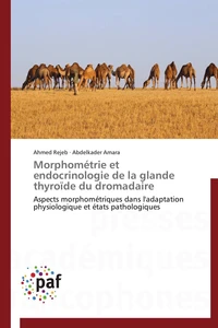 Morphométrie et endocrinologie de la glande thyroïde du dromadaire