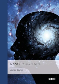 Nano conscience