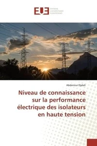 Niveau de connaissance sur la performance électrique des isolateurs en haute tension