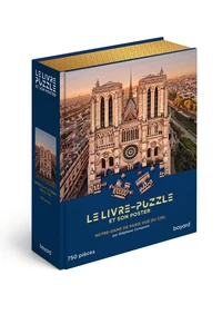 Notre-Dame de Paris vue du ciel