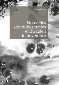 Nouvelles des aubes tristes et du soleil de novembre - Tome 1