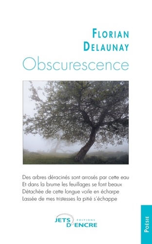 Florian Delaunay - Obscurescence.