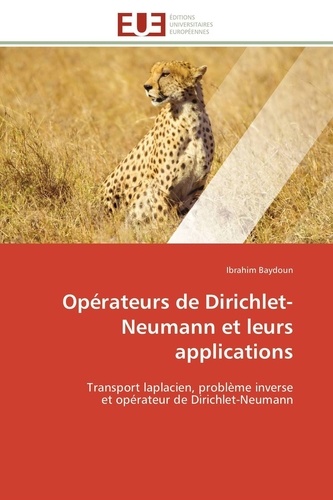 Ibrahim Baydoun - Opérateurs de Dirichlet-Neumann et leurs applications - Transport laplacien, problème inverse et opérateur de Dirichlet-Neumann.