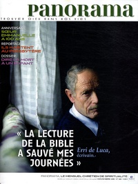 Bertrand Révillion et Dominique Fontaine - Panorama N° 448, Novembre 200 : .