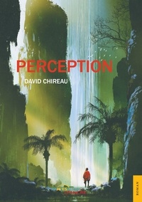 David Chireau - Perception.