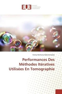 Performances Des Methodes Iteratives Utilisees en Tomographie
