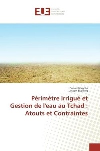 Daoud Borgoto - Perimetre irrigue et Gestion de l'eau au Tchad : Atouts et Contraintes.