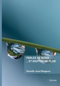 Perles de rosée ...  ... et gouttes de pluie
