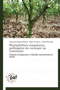 Phytophthora megakarya, pathogène du cacaoyer au cameroun