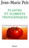 Plantes et aliments transgéniques
