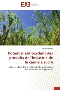  Caderby-e - Potentiel antioxydant des produits de l'industrie de la canne à sucre.