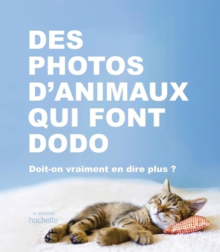 Des Photos D Animaux Qui Font Dodo Doit On Hachette Pratique Livres Furet Du Nord