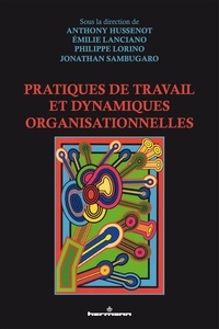 Anthony Hussenot et Emilie Lanciano - Pratiques de travail et dynamiques organisationnelles.